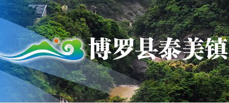 博罗县泰美镇人民政府